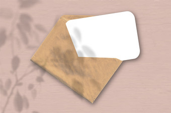 信封与表变形白色纸的粉红色的背景模型与覆盖植物阴影自然光数据类型转换阴影从异国情调的植物水平取向信封与表变形白色纸的粉红色的背景模型与覆盖植物阴影自然光数据类型转换阴影从异国情调的植物水平取向