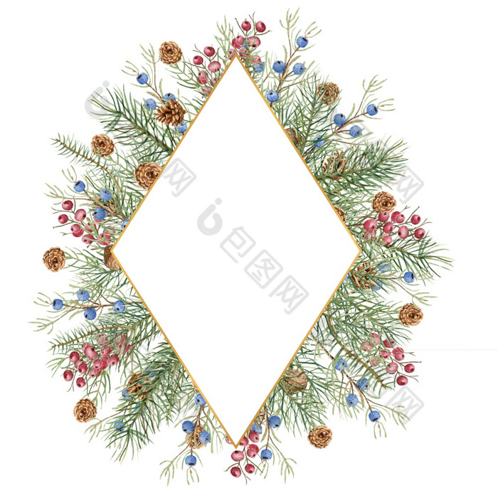 圣诞节冬天插图钻石形的框架与水彩云杉树枝视锥细胞蓝色的和红色的浆果水彩插图圣诞节冬天插图钻石形的框架与水彩云杉树枝视锥细胞蓝色的和红色的浆果