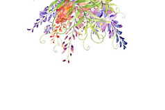 背景与水彩花花插图植物作文为婚礼问候卡为母亲的一天婚礼生日复活节情人节一天