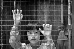 孩子女孩后面的栅栏手持有钢网黑色的和白色健美的照片