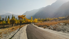 秋天树叶托尔戈与视图山范围色彩斑斓的树沿着的空路鸬鹚吉尔吉特巴尔蒂斯坦巴基斯坦