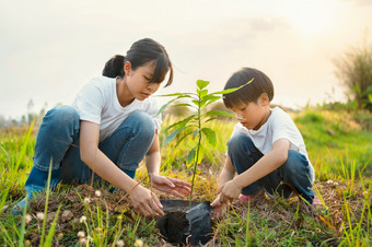 孩子们帮助种植树花园为保存世界生态环境概念