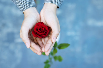 年轻的女人两个手持有红色的玫瑰花自然美丽的花在户外自然光与离开复制空间空写消息情人节一天婚礼浪漫的爱概念前视图