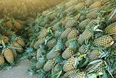 桩菠萝的新鲜的市场