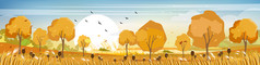 全景风景农村秋天全景中期秋天与农场场山野生草黄色的树叶仙境景观秋天季节
