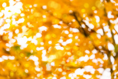 模糊的散景与橙色和黄色的颜色语气为秋天背景横幅模糊光明秋天季节背景摘要阳光与色彩斑斓的散景