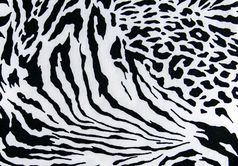 纹理打印织物条纹斑马和豹为背景