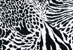 纹理打印织物条纹斑马和豹为背景