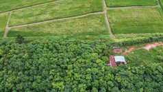 空中照片从飞行drones小房子的森林