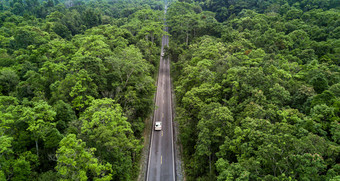 空中视图沥青路和绿色森林森林路会通过森林与车冒险视图从以上生态系统和生态健康的环境概念和背景