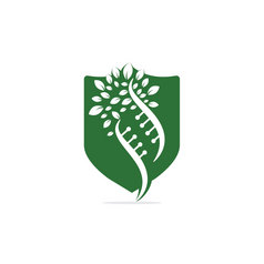 太太树向量标志设计太太遗传图标太太与绿色叶子向量标志设计