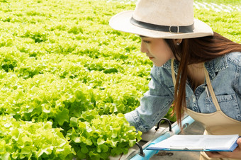 亚洲农民女人持有剪贴板和生蔬菜沙拉为检查质量水培农场系统的温室概念水光温度控制环境<strong>有机食物</strong>