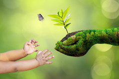 环境地球一天的手树日益增长的幼苗散景绿色背景女手持有树自然场草森林保护概念