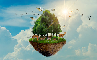 森林树野生动物老虎鹿鸟岛浮动的天空世界环境一天世界保护一天地球一天