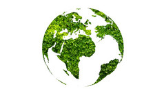 地球一天绿色全球白色隔离背景
