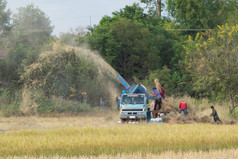 那空Phanom泰国11月农场工人铣大米与脱粒机车