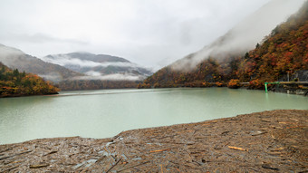 棕色（的）木块浮动前面的大坝和<strong>河山</strong>雾视图背景秋<strong>天</strong>季节日本