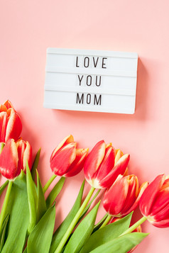 有创意的平躺前视图母亲一天问候卡与红色的郁金香春天花粉红色的背景庆祝活动明信片模板