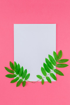 有创意的平躺前视图白色信模拟与新鲜的绿色罗文树叶子明亮的粉红色的背景与复制空间最小的双色版流行艺术风格模板为文本
