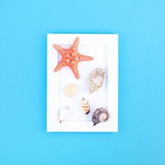 有创意的平躺概念夏天旅行假期前视图贝壳和海星绿松石蓝色的背景与白色框架模拟和复制空间最小的风格模板为文本