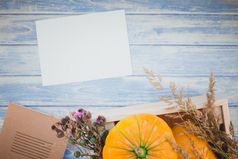 前视图秋天橙色南瓜和干花与草感恩节背景在蓝色的健美的木表格与空白信模拟和复制空间乡村风格模板为文本
