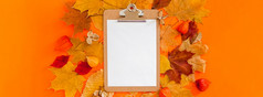 秋天平躺作文与剪贴板模型和干叶子大胆的橙色颜色背景有创意的秋天感恩节秋天万圣节概念前视图复制空间