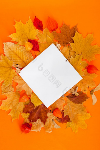 秋天平躺作文与明信片模型和干叶子大胆的橙色颜色背景有创意的秋天感恩节秋天万圣节概念前视图复制空间