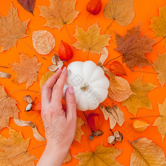 秋天平躺作文与白色南瓜女手和干叶子大胆的橙色颜色背景有创意的秋天感恩节秋天万圣节概念前视图复制空间