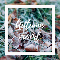有创意的布局与干秋天叶子的地面与绿色草和白色框架秋天概念上的广场背景与问候消息秋天情绪