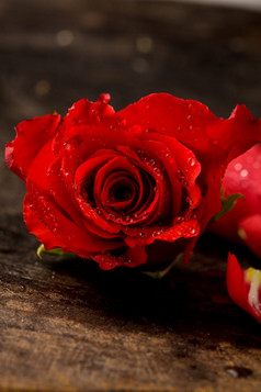 照片红色的玫瑰与水滴木表格