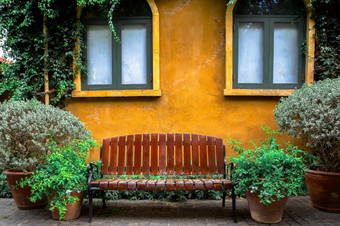 棕色（的）木古董板凳上与黄色的雏菊<strong>站</strong>公园背景绿色树美丽的夏天春天自然景观花园板凳上