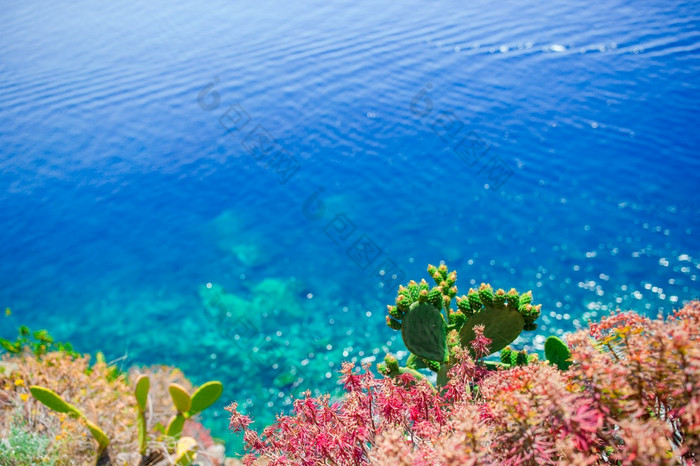 美丽的舒适的湾与船和清晰的绿松石水意大利美丽的舒适的湾与清晰的绿松石水意大利欧洲