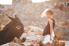小女孩抚摸驴的希腊岛小女孩与驴的岛米克诺斯