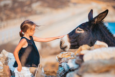小女孩抚摸野生驴在户外小女孩与驴的岛米克诺斯