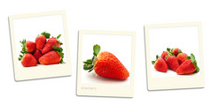 大意:老风格照片草莓在白色背景草莓照片