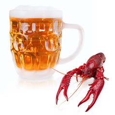 红色的煮熟的小龙虾和杯子啤酒在的白色