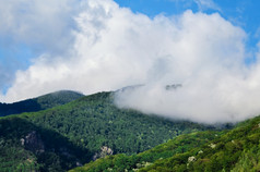 喀尔巴阡山脉的山覆盖与维珍森林罗马尼亚喀尔巴阡山脉的山