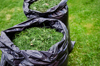 割草家庭花园草坪上与黑色的袋草剪报草岩屑黑色的塑料袋新修剪草坪上割草家庭花园草坪上与黑色的袋草剪报