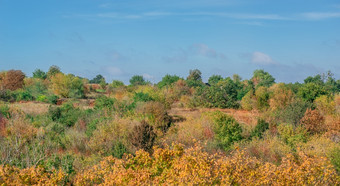 美丽的<strong>橙色</strong>和红色的黄色的秋天森林许多树<strong>橙色</strong>山美丽的<strong>橙色</strong>和红色的黄色的秋天森林