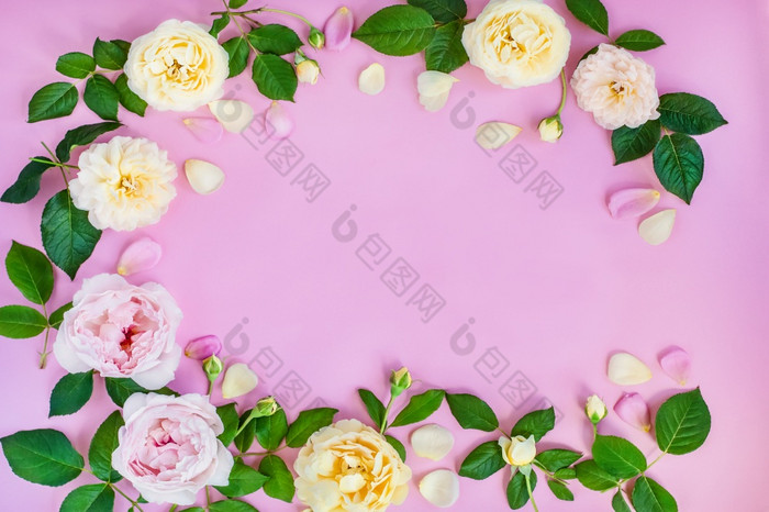粉红色的和白色牡丹粉红色的背景粉红色的牡丹古董背景与花和的地方下的文本视图从以上粉红色的和白色牡丹粉红色的背景粉红色的牡丹