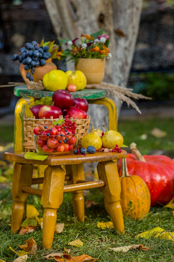 秋天场景与植物南瓜苹果柳条篮子陶瓷锅木椅子古董风格作文的花园在户外秋天场景与植物南瓜苹果柳条篮子陶瓷锅木椅子古董风格作文的花园