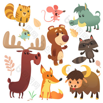 卡通森林动物字符野生卡通可爱的动物集大集卡通森林动物平向量插图设计松鼠水牛浣熊鼠标狐狸鹿驼鹿熊