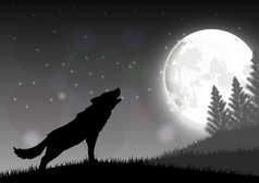 轮廓狼站山晚上与月亮