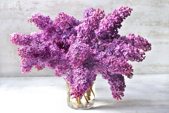 美丽的花束紫色的淡紫色花玻璃Jar白色表格美丽的花束紫色的淡紫色玻璃Jar离子白色表格