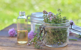 叶芳香植物与玻璃Jar和石油瓶安排表格花园