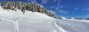 美丽的全景视图冰雪覆盖山和冷杉森林下蓝色的天空美丽的全景视图冰雪覆盖山和冷杉森林下蓝色的天空