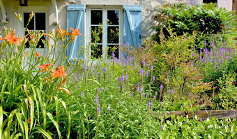 花盛开的花园前面blue-shuttered窗口农村房子花盛开的花园前面窗户农村房子
