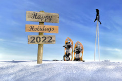 快乐新一年写帖子标志种植的雪下一个雪鞋和棒下蓝色的天空