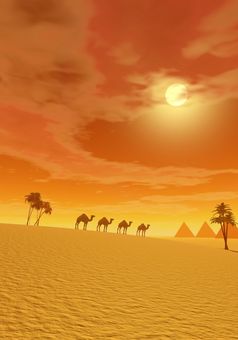 骆驼走的沙漠之间的棕榈树和对金字塔日落
