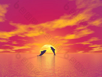 影子两个小海豚跳的海洋向的太阳红色的日落
